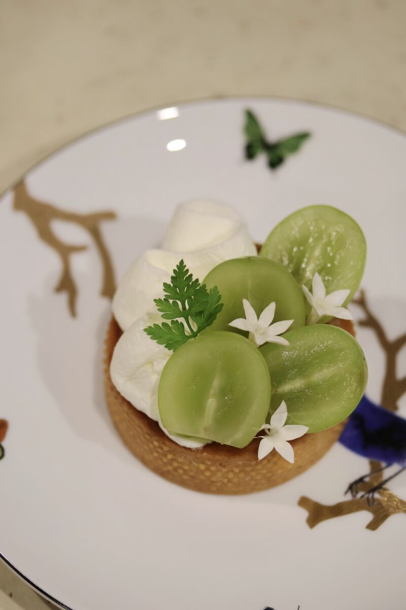 IMG 20251009 203523 1 800x1200